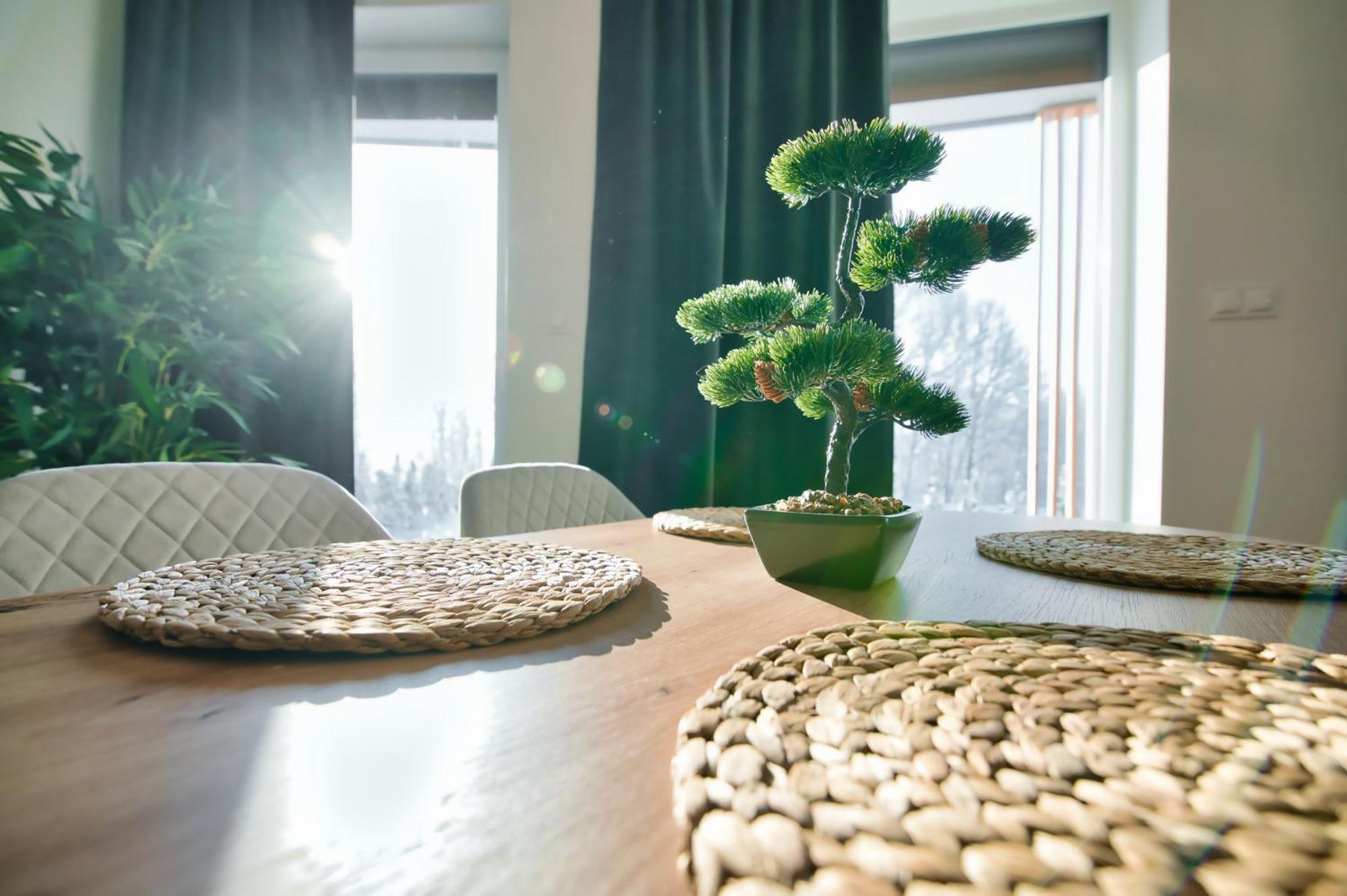 Apartamenty Laguna Beskidow - A2 Zarzecze  Zewnętrze zdjęcie
